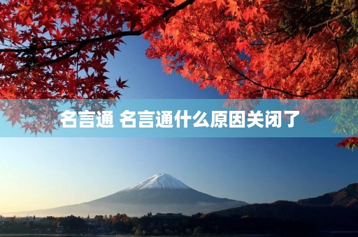 名言通 名言通什么原因关闭了 名言通 名言通什么原因关闭了