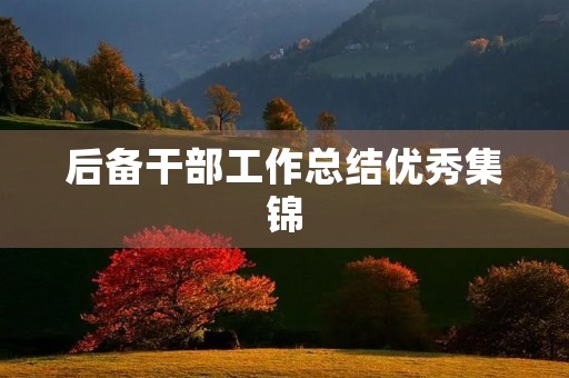 后备干部工作总结优秀集锦 后备干部工作总结优秀集锦