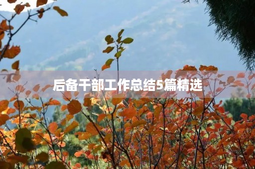 后备干部工作总结5篇精选