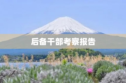 后备干部考察报告