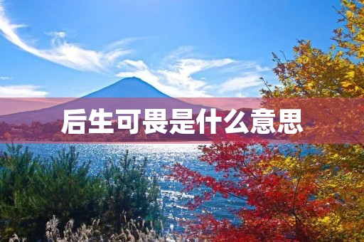 后生可畏是什么意思 后生可畏是什么意思