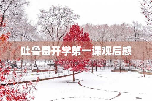 吐鲁番开学第一课观后感 吐鲁番开学第一课观后感