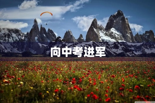 向中考进军