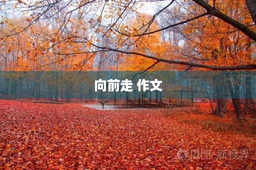 向前走 作文
