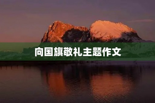 向国旗敬礼主题作文 向国旗敬礼主题作文