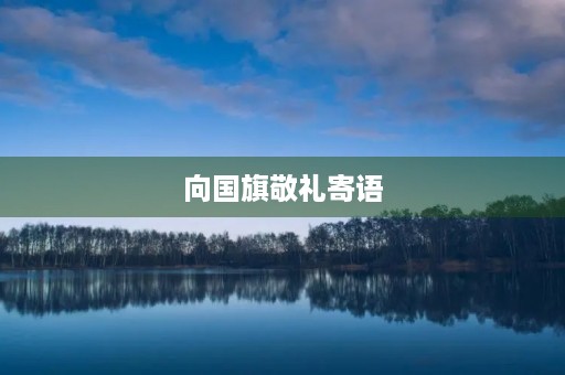 向国旗敬礼寄语 向国旗敬礼寄语
