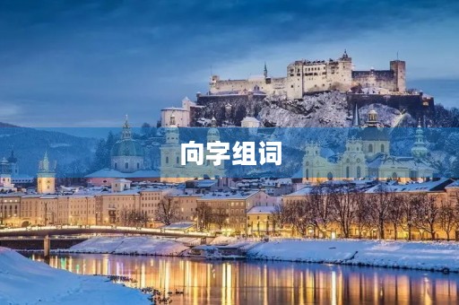向字组词(向的组词)