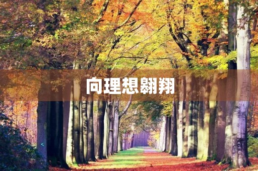 向理想翱翔 向理想翱翔