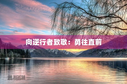 向逆行者致敬:勇往直前 向逆行者致敬:勇往直前