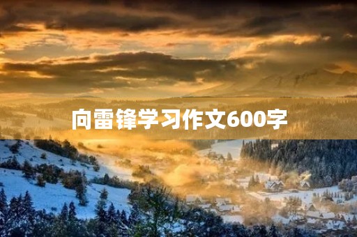 向雷锋学习作文600字 向雷锋学习作文600字