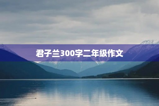 君子兰300字二年级作文