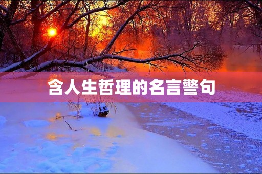 含人生哲理的名言警句(含人生哲理的名言警句大全) 含人生哲理的名言警句(含人生哲理的名言警句大全)