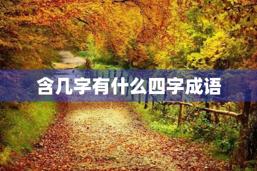 含几字有什么四字成语