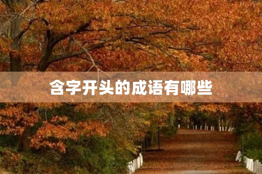含字开头的成语有哪些