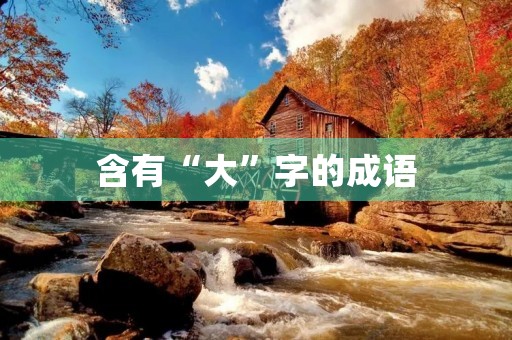 含有“大”字的成语