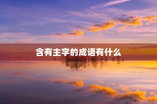 含有主字的成语有什么