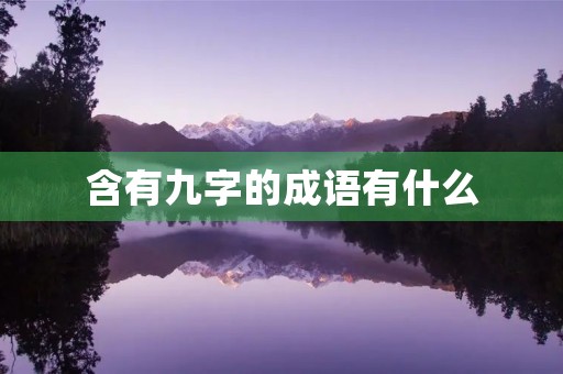 含有九字的成语有什么