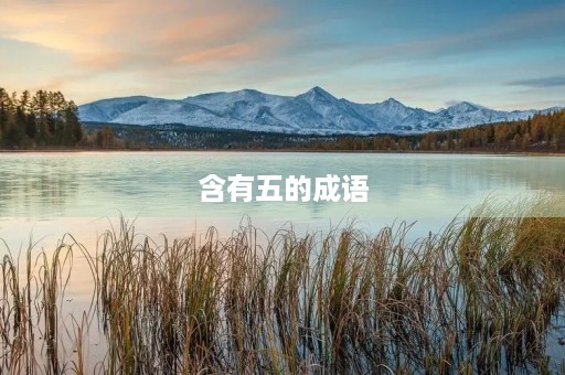含有五的成语