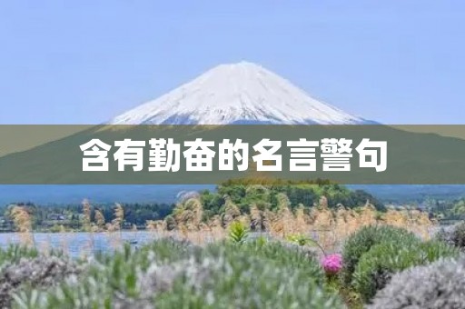 含有勤奋的名言警句(含有勤奋的名言警句有哪些)