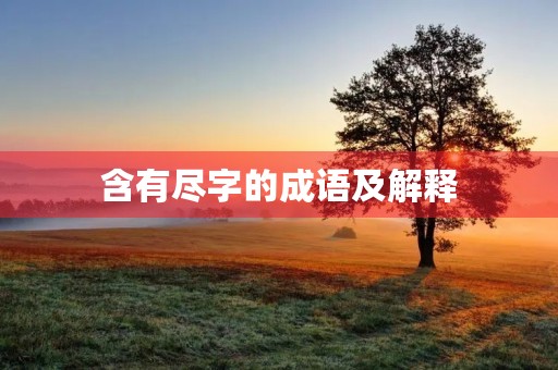 含有尽字的成语及解释