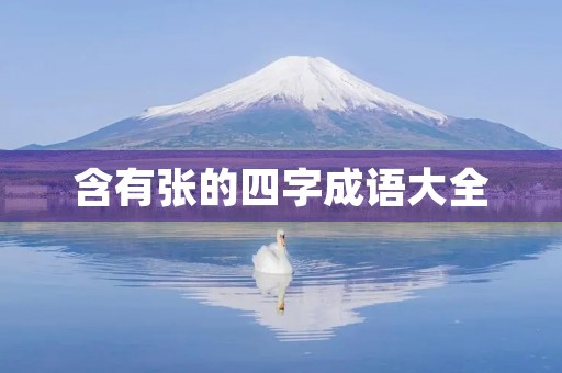含有张的四字成语大全