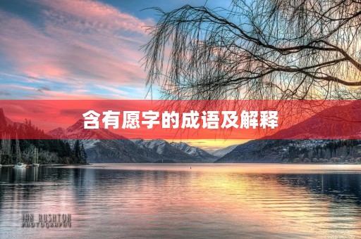 含有愿字的成语及解释