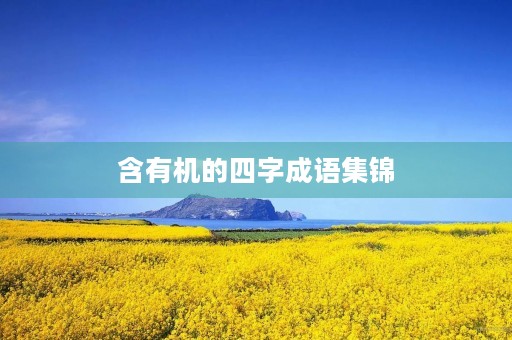 含有机的四字成语集锦