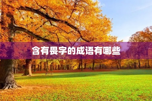 含有畏字的成语有哪些