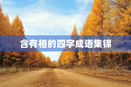 含有相的四字成语集锦
