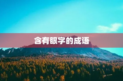 含有眼字的成语