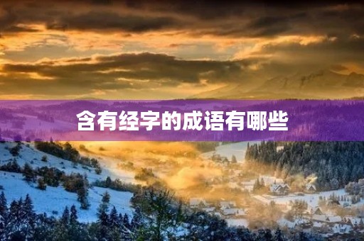 含有经字的成语有哪些