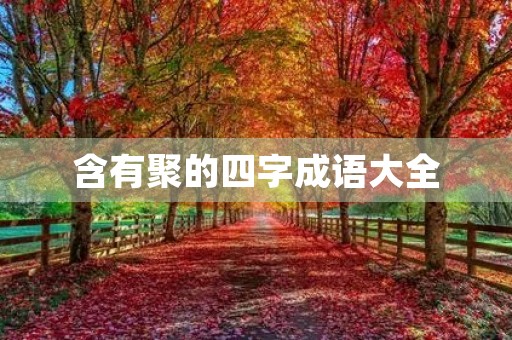 含有聚的四字成语大全 含有聚的四字成语大全