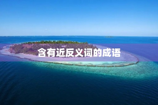 含有近反义词的成语