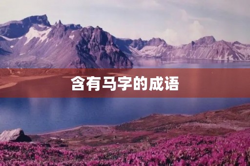 含有马字的成语 含有马字的成语