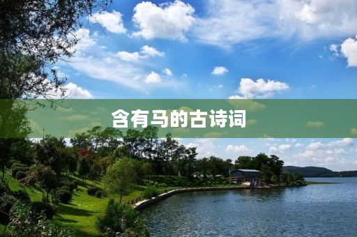 含有马的古诗词(含有马的古诗词名句壮句)