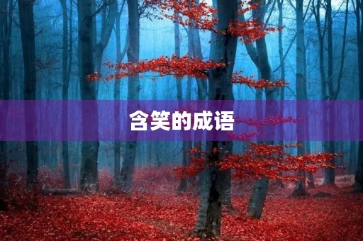 含笑的成语