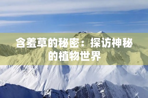 含羞草的秘密：探访神秘的植物世界