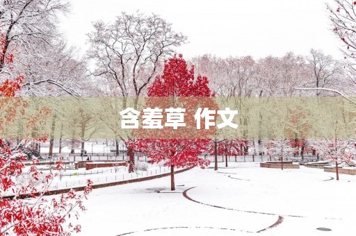 含羞草 作文 含羞草 作文