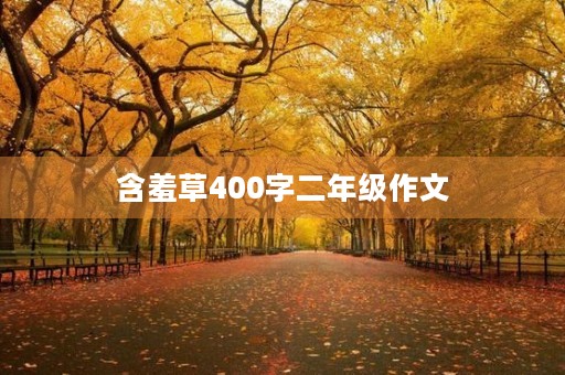 含羞草400字二年级作文