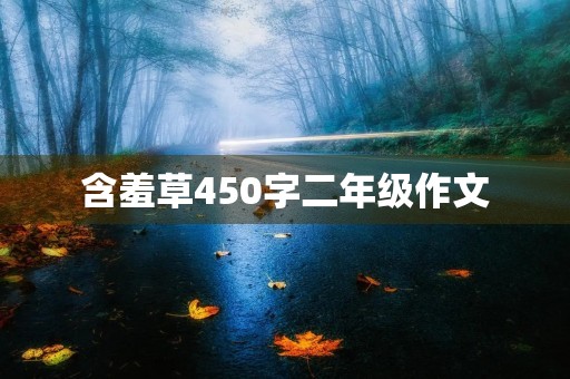 含羞草450字二年级作文