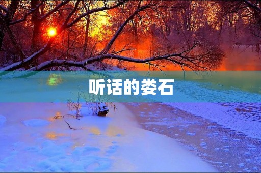 听话的娄石 听话的娄石