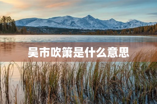 吴市吹箫是什么意思