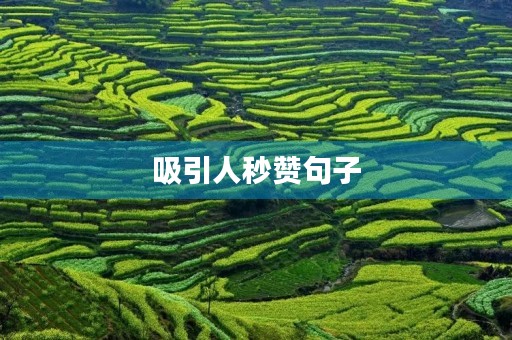 吸引人秒赞句子(吸引人秒赞句子简短)