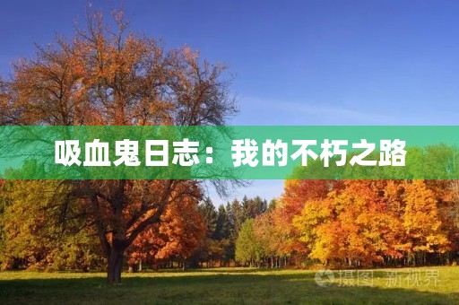 吸血鬼日志:我的不朽之路 吸血鬼日志:我的不朽之路