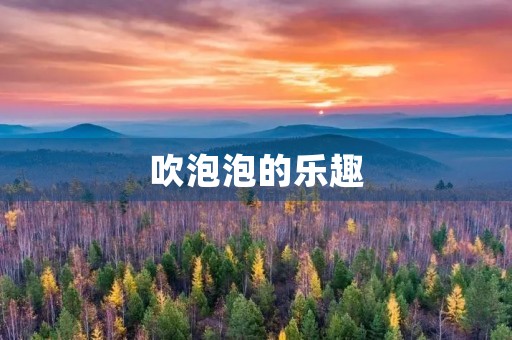 吹泡泡的乐趣 吹泡泡的乐趣
