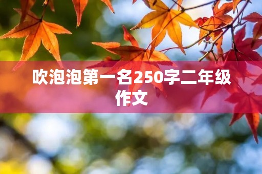 吹泡泡第一名250字二年级作文
