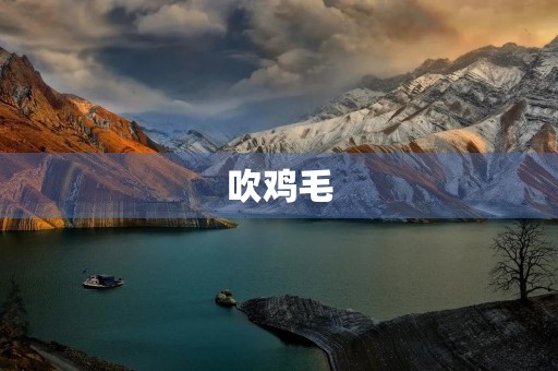 吹鸡毛 吹鸡毛