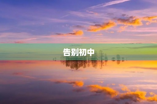 告别初中,迎接新挑战 告别初中,迎接新挑战