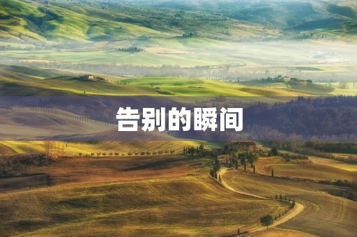 告别的瞬间 告别的瞬间