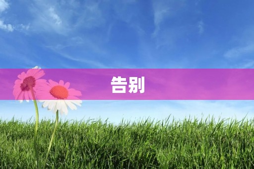 告别